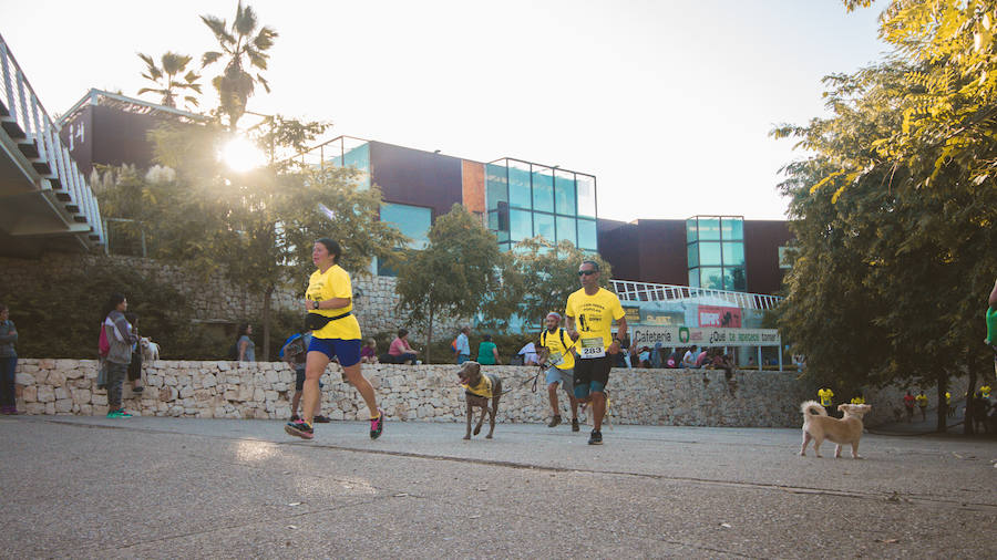 Fotos: Cancarrera Bioparc 2018