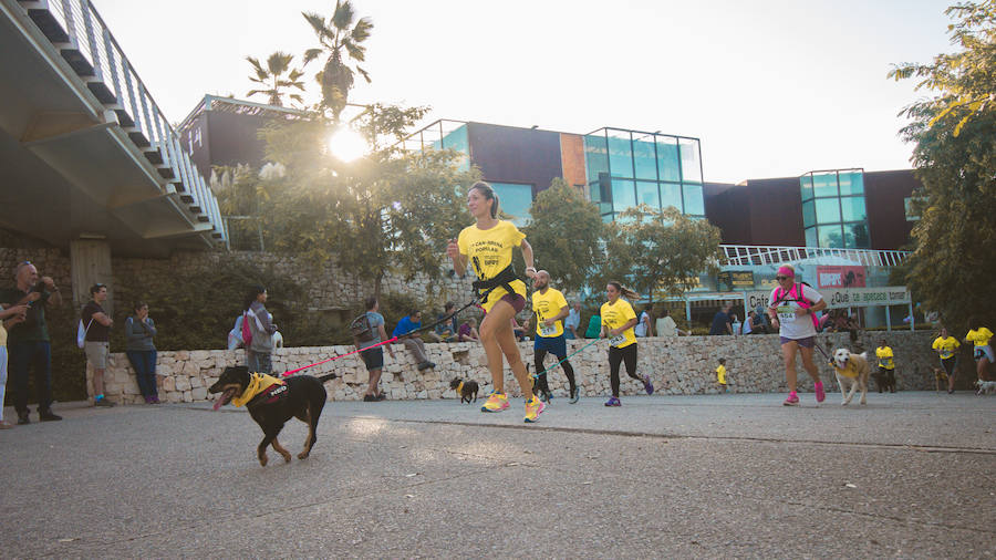 Fotos: Cancarrera Bioparc 2018