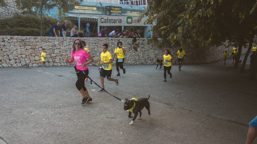 Fotos: Cancarrera Bioparc 2018