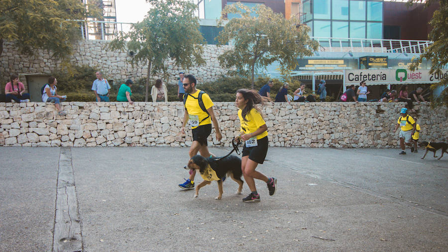 Fotos: Cancarrera Bioparc 2018