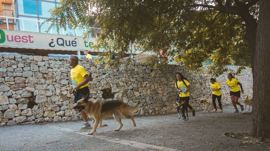 Fotos: Cancarrera Bioparc 2018