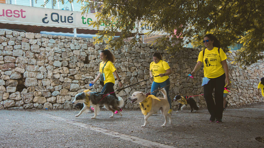 Fotos: Cancarrera Bioparc 2018