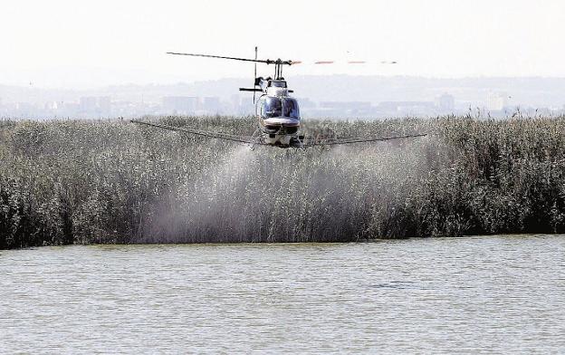 Fumigación contra mosquitos en la Albufera en 2015. 