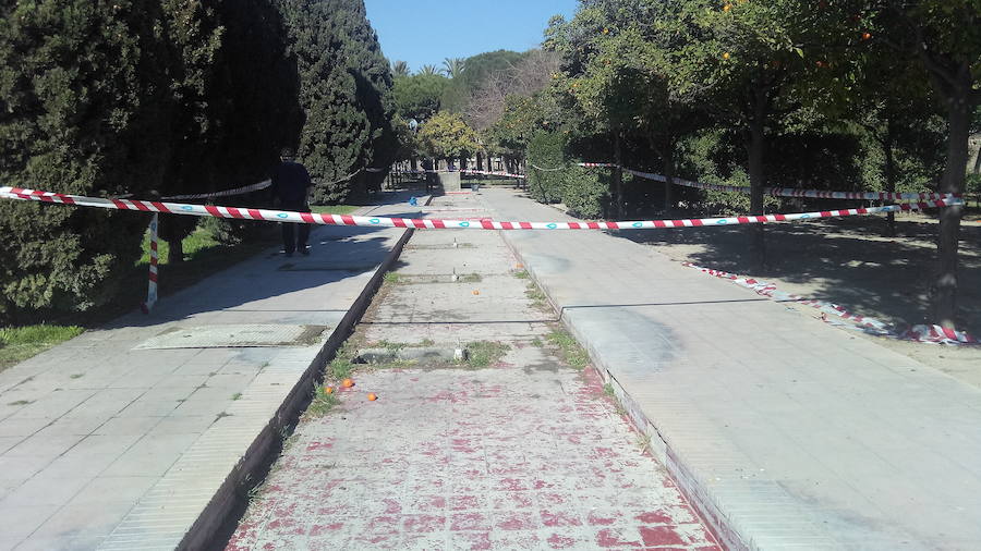 Fotos: El rescate del cauce junto al Palau de la Música se completa