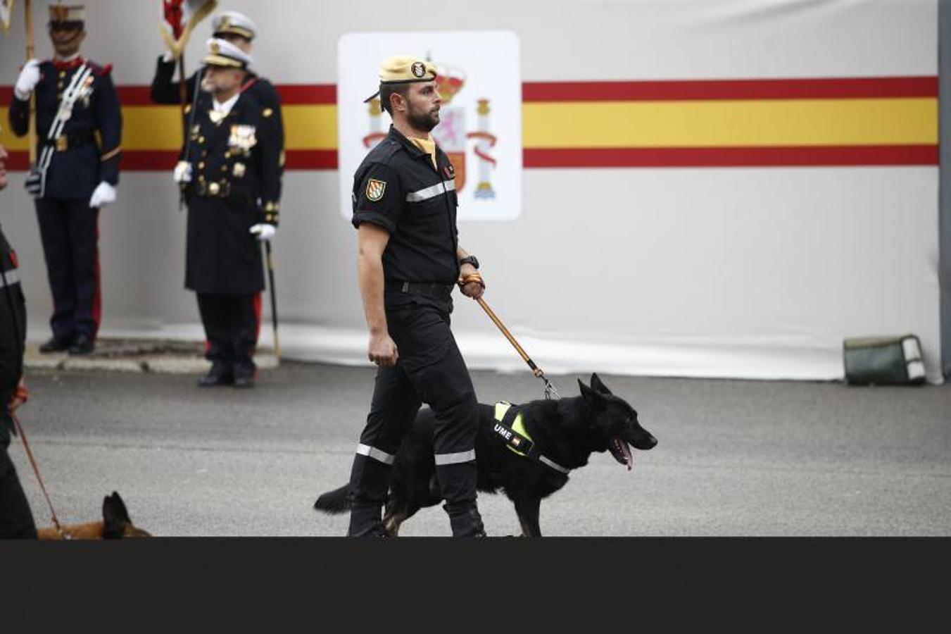 os Reyes han presidido este viernes el desfile del Día de la Fiesta Nacional, que ha llevado al centro de Madrid a casi 4.000 militares de los dos Ejércitos y la Armada, 88 aeronaves y 152 vehículos, acompañados de efectivos de la Guardia Civil, la Policía Nacional, Protección Civil y Salvamento Marítimo. Es el primer 12 de octubre del Gobierno de Pedro Sánchez y también el primero de Pablo Casado como líder del PP.