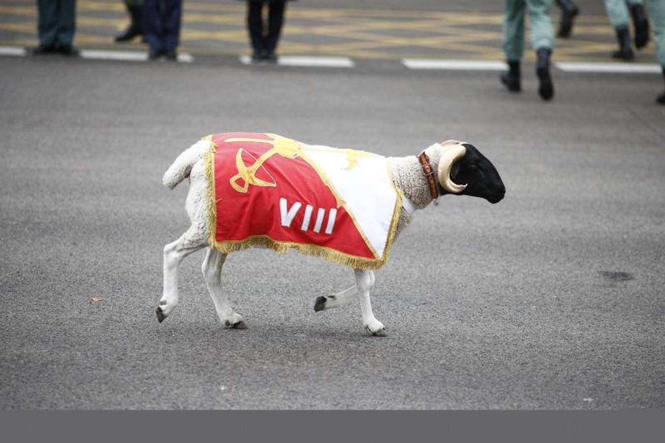 os Reyes han presidido este viernes el desfile del Día de la Fiesta Nacional, que ha llevado al centro de Madrid a casi 4.000 militares de los dos Ejércitos y la Armada, 88 aeronaves y 152 vehículos, acompañados de efectivos de la Guardia Civil, la Policía Nacional, Protección Civil y Salvamento Marítimo. Es el primer 12 de octubre del Gobierno de Pedro Sánchez y también el primero de Pablo Casado como líder del PP.