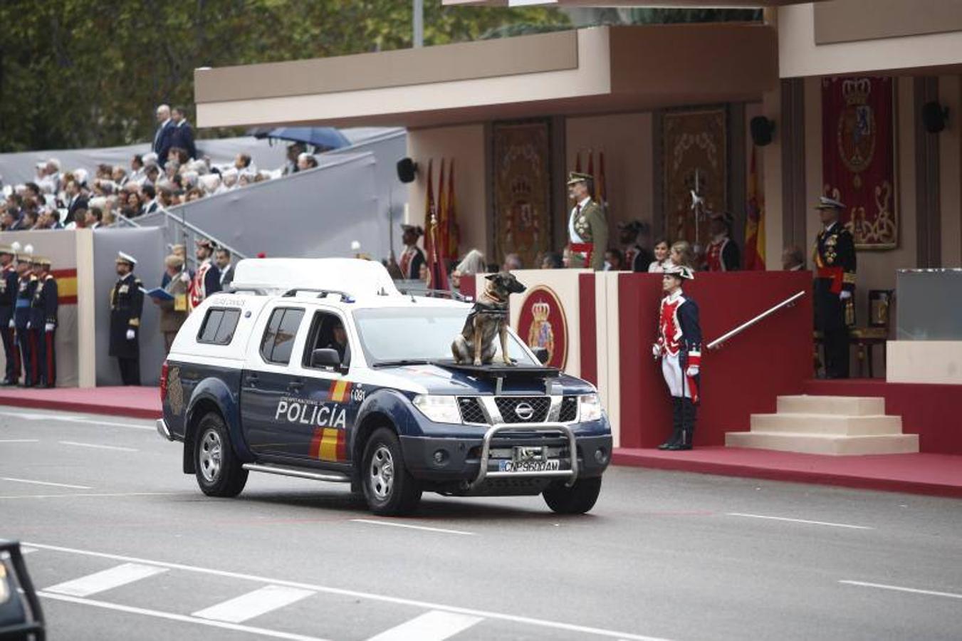 os Reyes han presidido este viernes el desfile del Día de la Fiesta Nacional, que ha llevado al centro de Madrid a casi 4.000 militares de los dos Ejércitos y la Armada, 88 aeronaves y 152 vehículos, acompañados de efectivos de la Guardia Civil, la Policía Nacional, Protección Civil y Salvamento Marítimo. Es el primer 12 de octubre del Gobierno de Pedro Sánchez y también el primero de Pablo Casado como líder del PP.