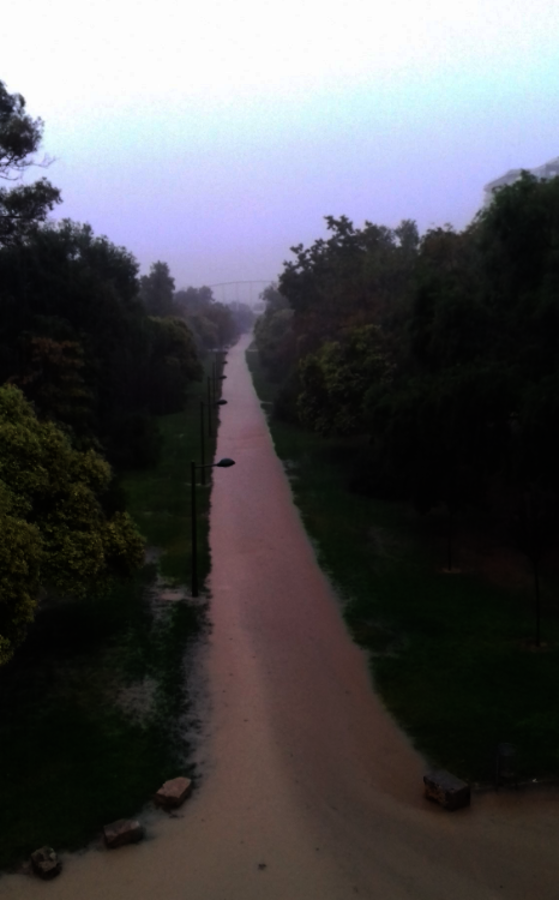 El viejo cauce del río Turia, en Valencia.