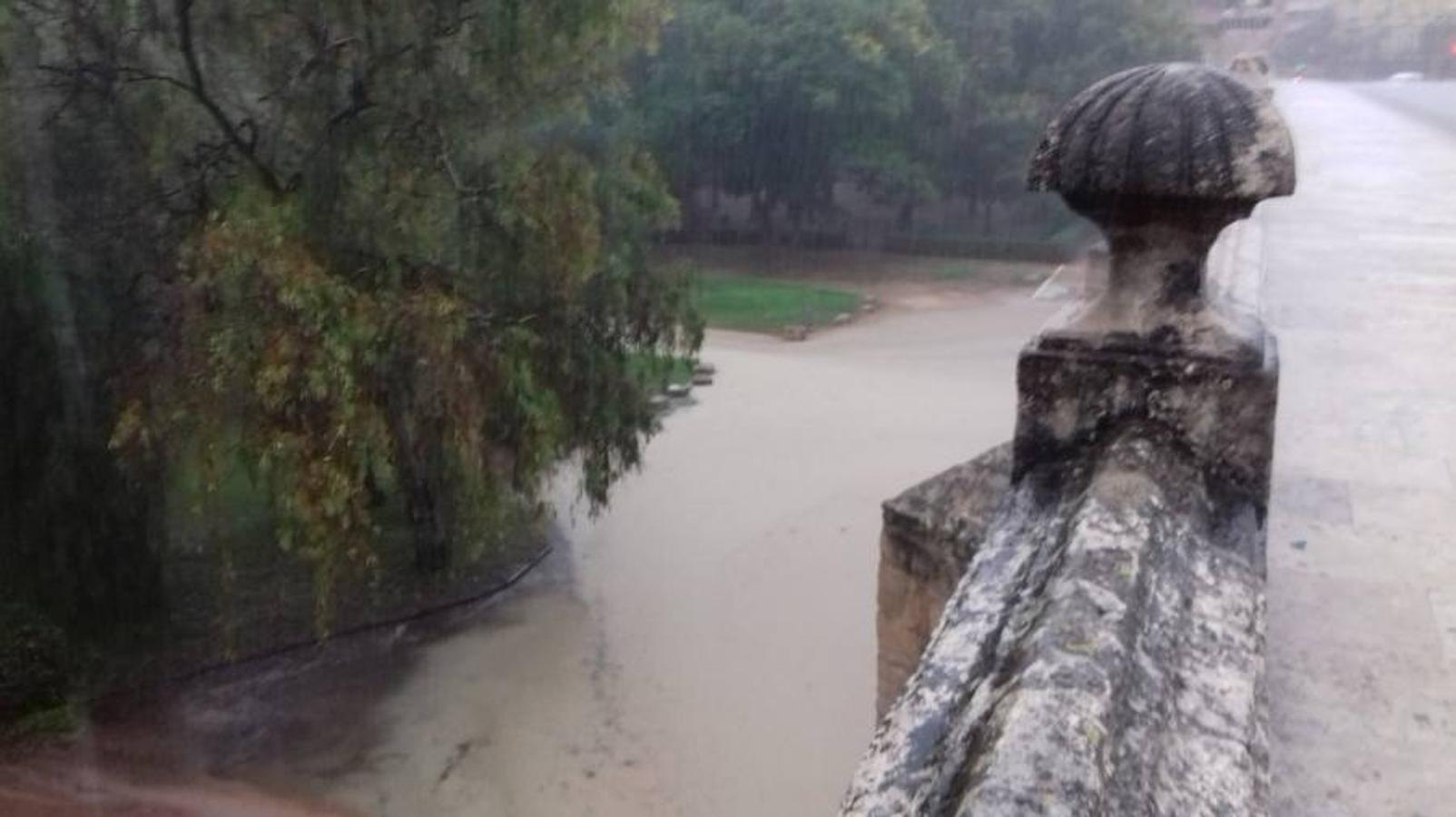 El viejo cauce del río Turia, en Valencia.