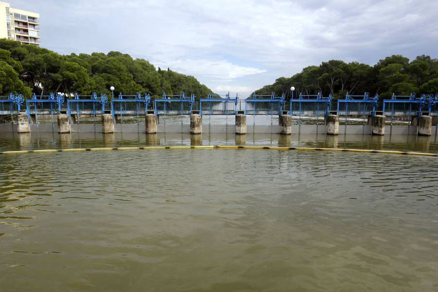 El Ayuntamiento de Valencia llegó a temer espectacular aumento del nivel de la Albufera. Hubo que abrir las compuertas y activar las bombas de achique para controlar el ascenso del nivel del lago.