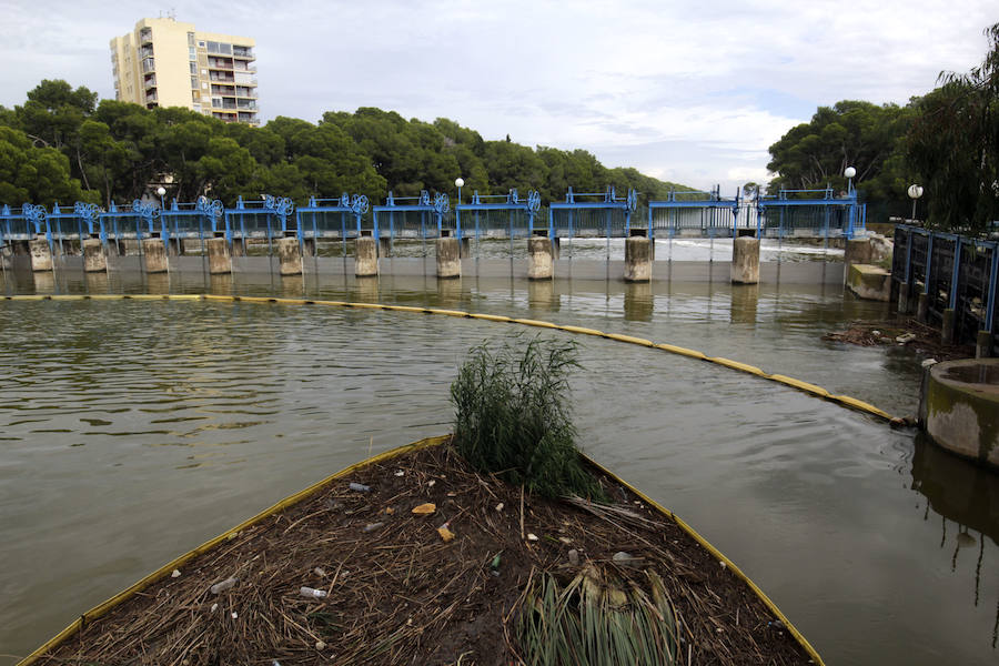 El Ayuntamiento de Valencia llegó a temer un espectacular aumento del nivel de la Albufera. Hubo que abrir las compuertas y activar las bombas de achique para controlar el ascenso del nivel del lago.