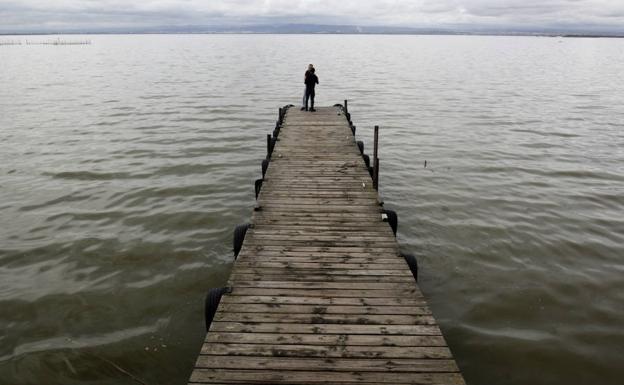 La Albufera tras la gota fría.