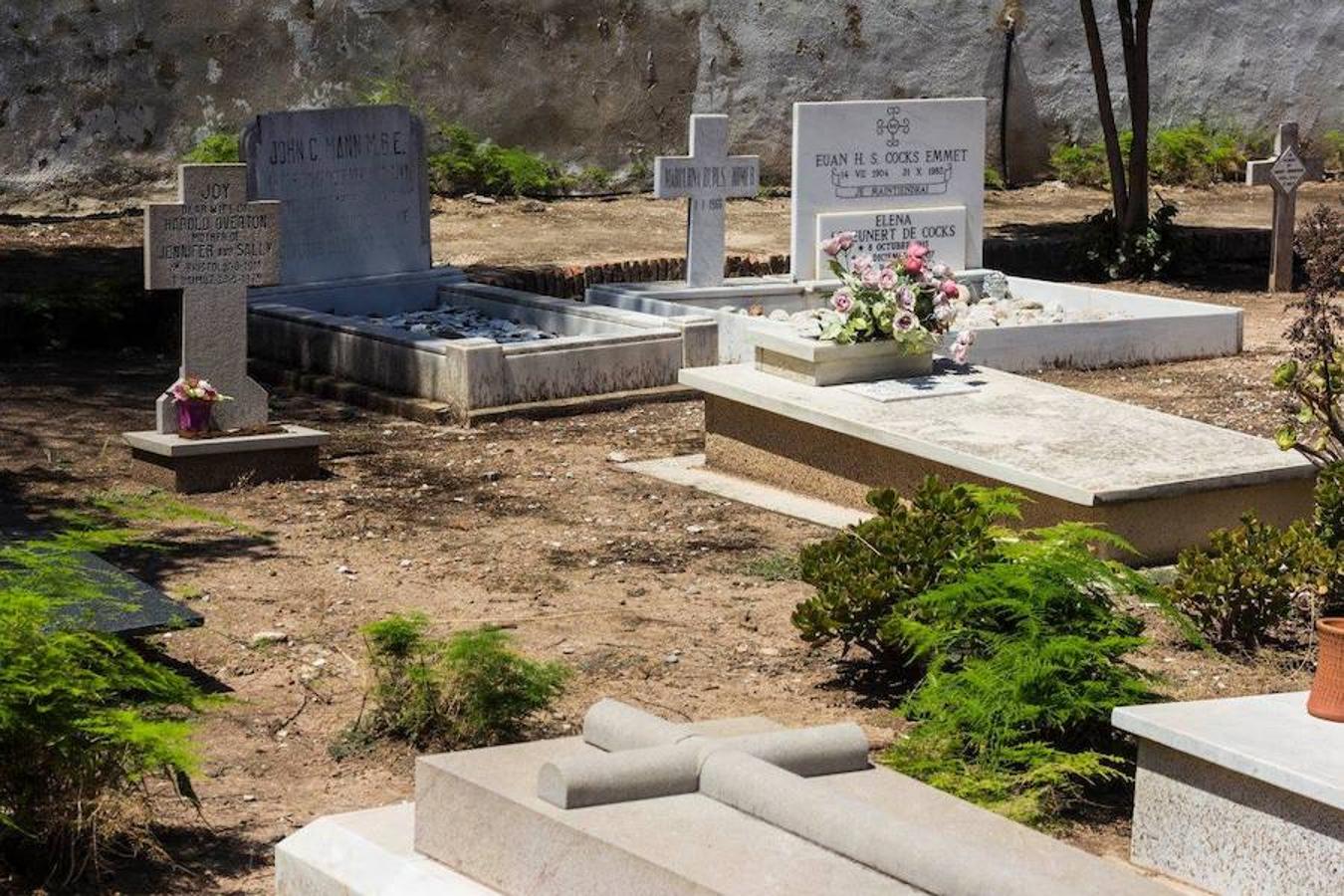 Frente al Cementerio Municipal de Valencia, lo que parece un jardín es, en realidad, otro cementerio que guarda parte del relato de la ciudad. El Cementerio Británico de Valencia se prepara para abrir sus puertas los días 28 de octubre y 1 de noviembre. Son las dos únicas fechas en las que sus instalaciones son visitables por falta de recursos. Por esta razón, un equipo ha estado trabajando para que esté todo listo. Se trata de un lugar de 150 años que al no ser un espacio municipal, está cuidado por voluntarios que quieren preservar cada una de las historias que allí residen. 