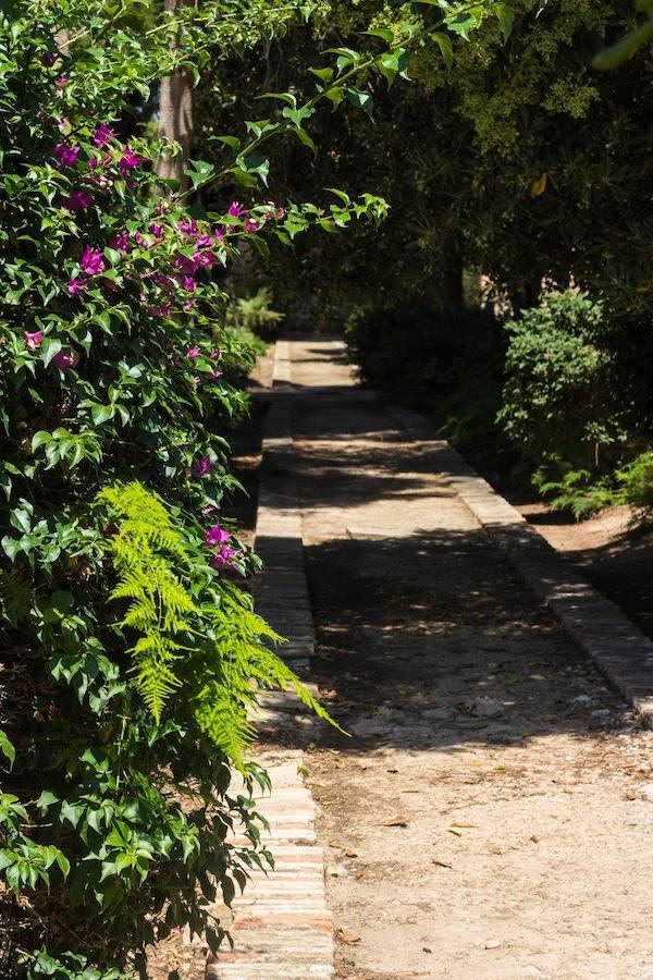 Frente al Cementerio Municipal de Valencia, lo que parece un jardín es, en realidad, otro cementerio que guarda parte del relato de la ciudad. El Cementerio Británico de Valencia se prepara para abrir sus puertas los días 28 de octubre y 1 de noviembre. Son las dos únicas fechas en las que sus instalaciones son visitables por falta de recursos. Por esta razón, un equipo ha estado trabajando para que esté todo listo. Se trata de un lugar de 150 años que al no ser un espacio municipal, está cuidado por voluntarios que quieren preservar cada una de las historias que allí residen. 