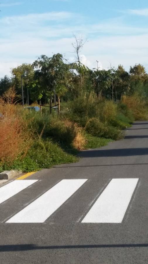 Fotos: Vecinos de Malilla critican el mal estado de la jardinería