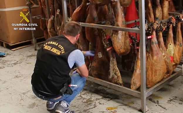 Material incautado en la operación Jamvina