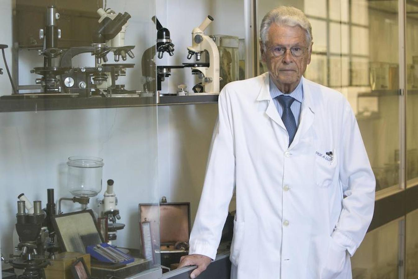 El referente en la historia de la medicina mantiene una incesante actividad a pesar de rebasar los ochenta años. El médico, catedrático, maestro e investigador divide su tiempo entre la facultad de Medicina y el IVO. «A mi edad te ves imprescindible y eso no es verdad. El día que muera, la vida sigue», asegura Llombart.