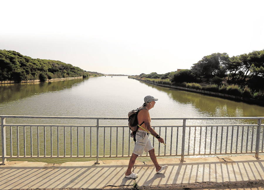 La Dehesa del Saler: Es un bosque mediterráneo situado entre la Albufera de Valencia y el mar. Rodea el canal de la Albufera y el estanque del Pujol.