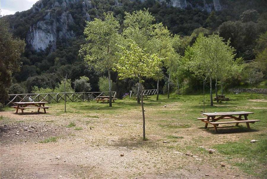 Parque de la Font Roja: El Menejador, con sus 1.356 m de altitud es uno de los puntos más altos de la provincia, lo cual hace que en días claros pueda observarse incluso la isla de Tabarca o la mesa de Almansa, además de las montañas de alrededor. 