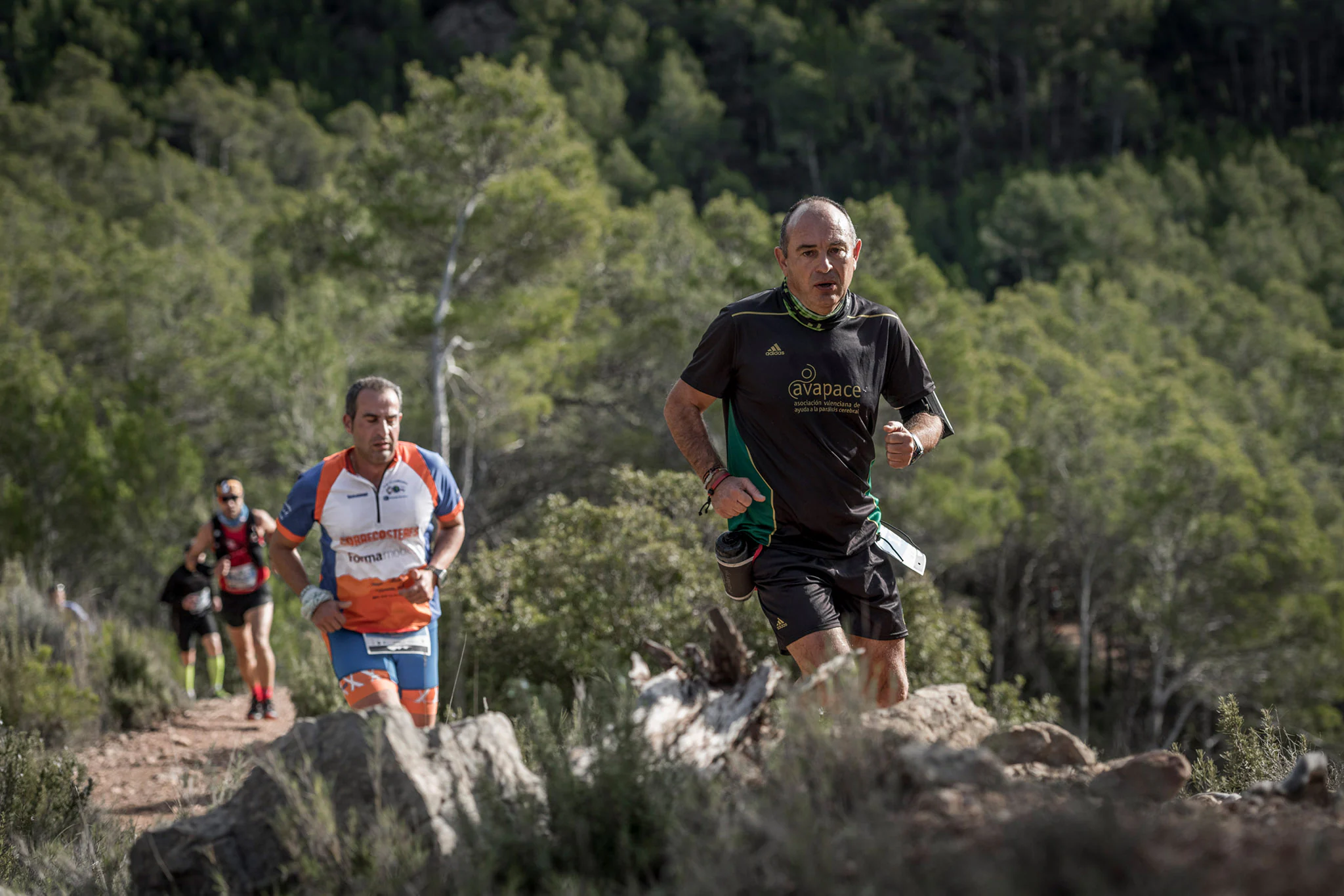 Galería de fotos de la carrera de 15 kilómetros del Trail de Montanejos celebrado el pasado 3 de noviembre