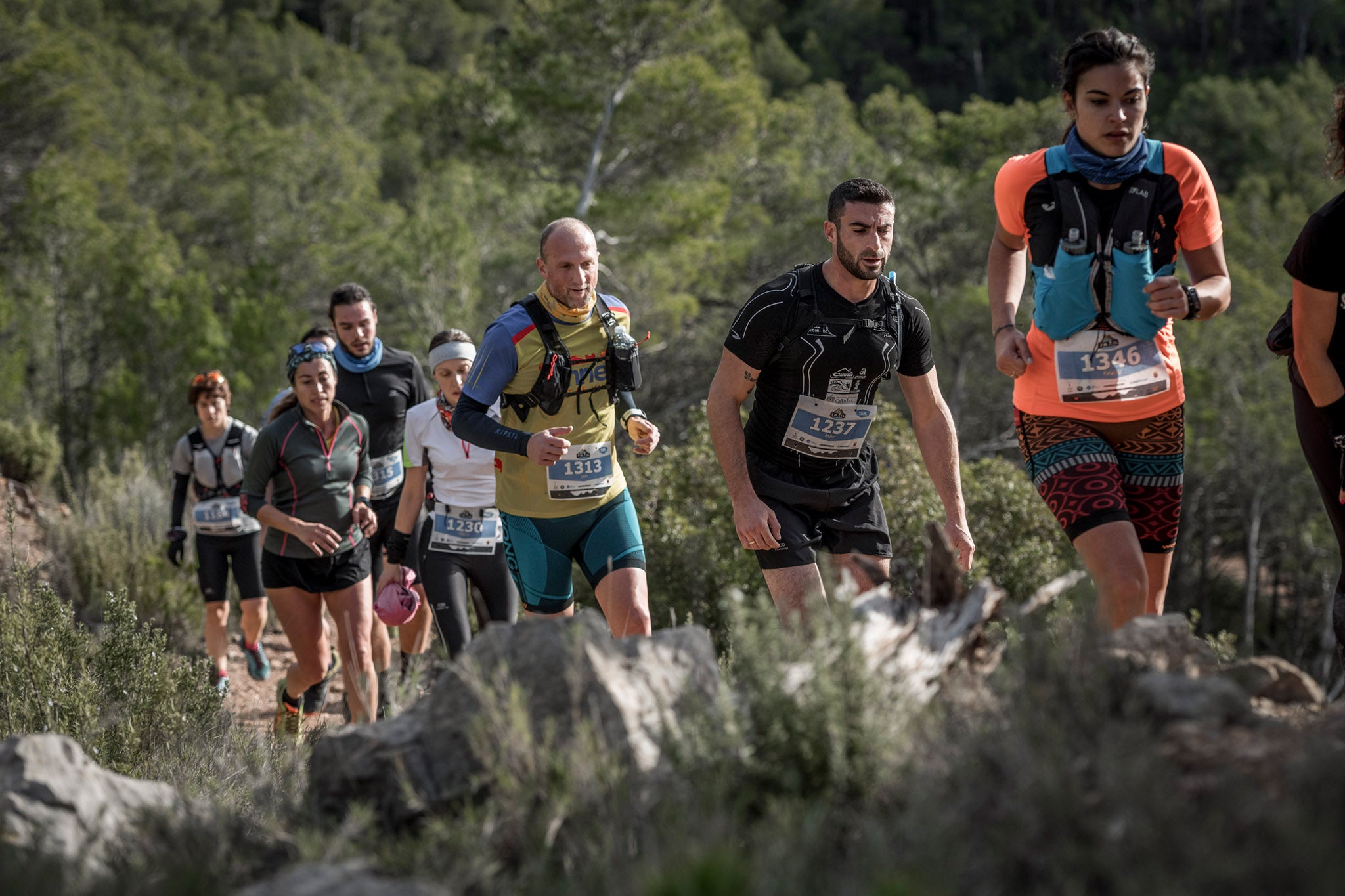 Galería de fotos de la carrera de 15 kilómetros del Trail de Montanejos celebrado el pasado 3 de noviembre