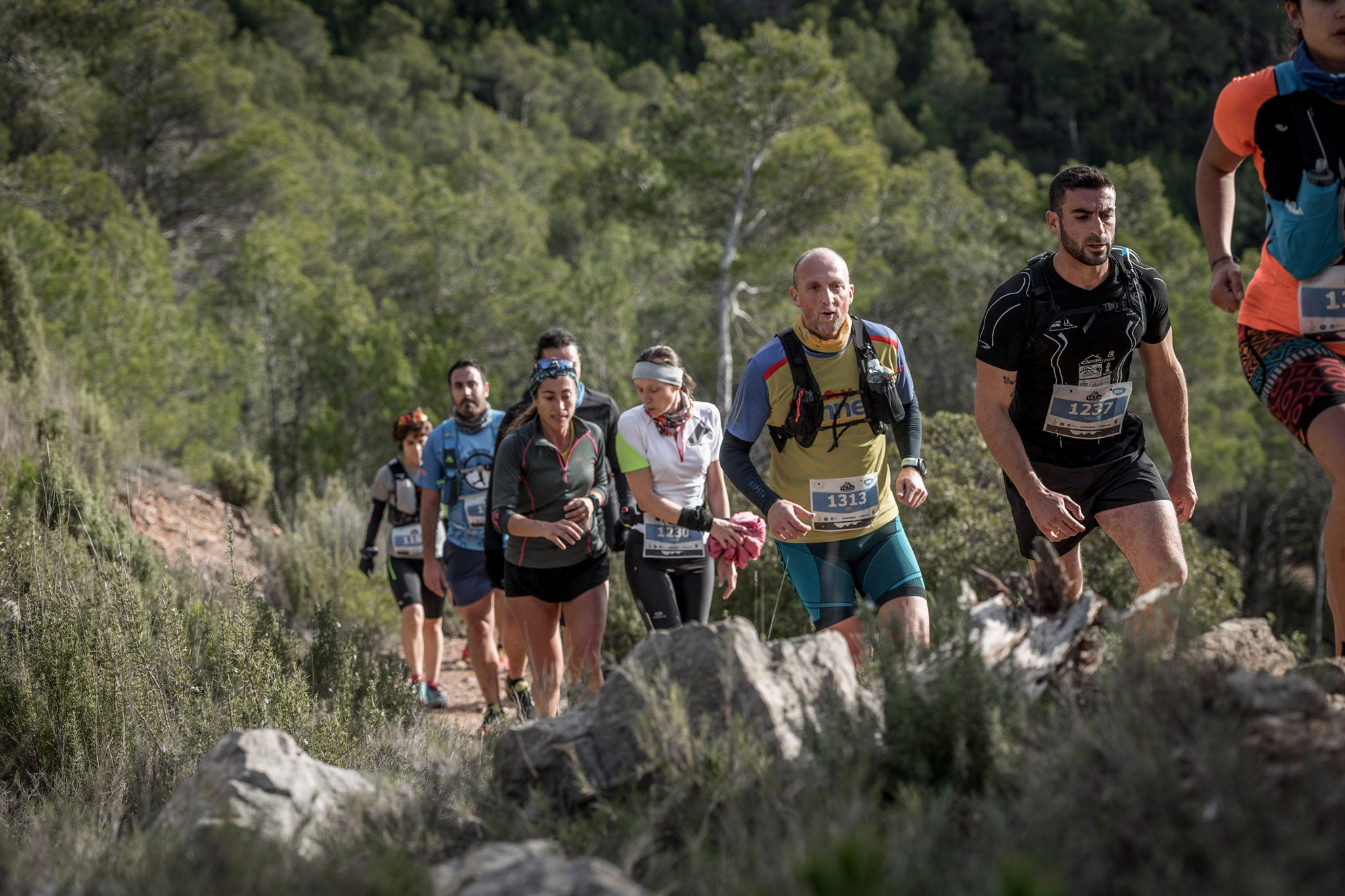 Galería de fotos de la carrera de 15 kilómetros del Trail de Montanejos celebrado el pasado 3 de noviembre