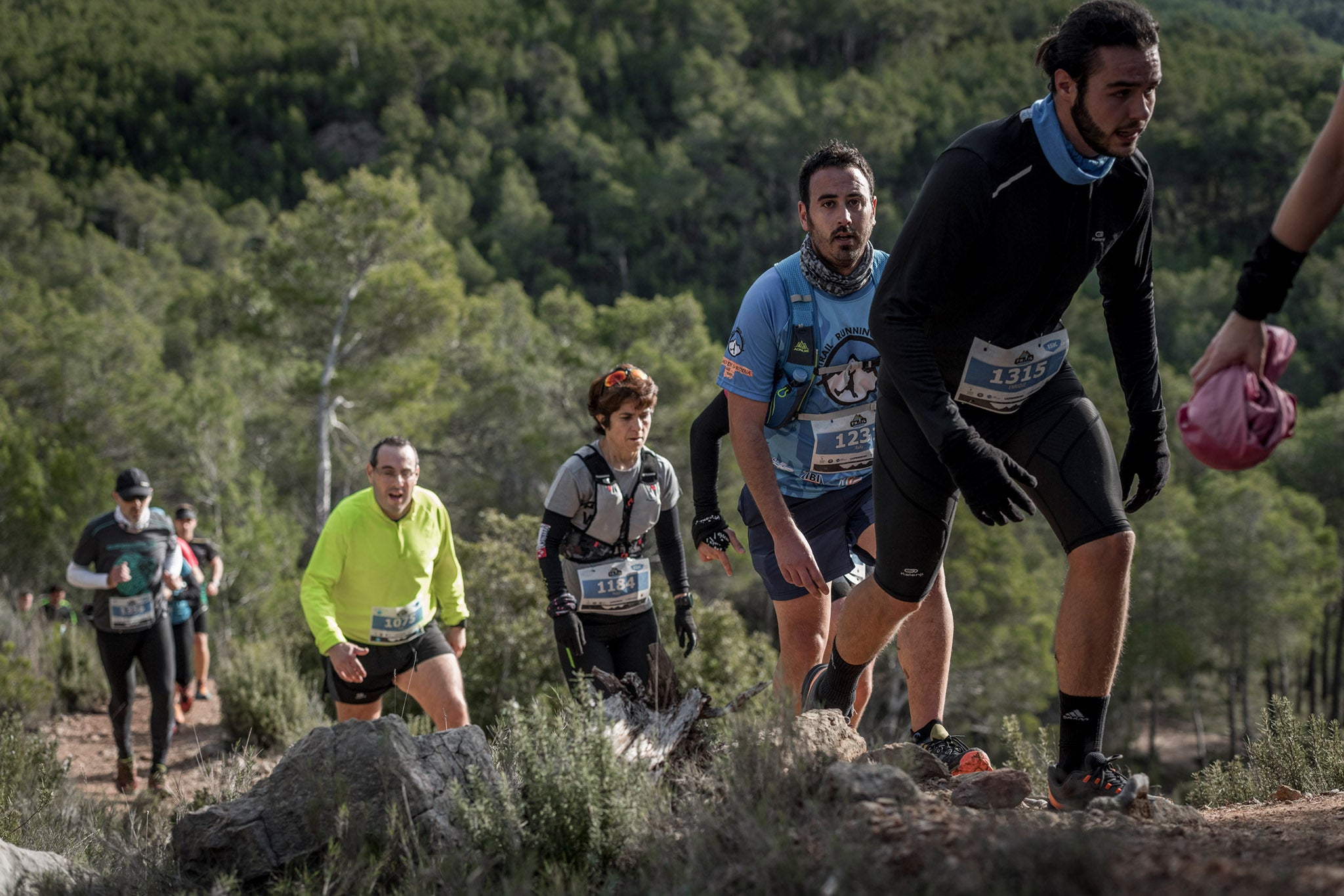 Galería de fotos de la carrera de 15 kilómetros del Trail de Montanejos celebrado el pasado 3 de noviembre