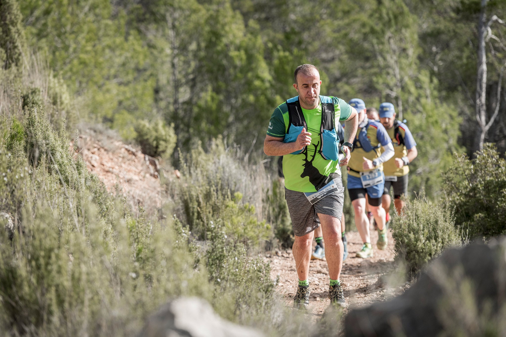 Galería de fotos de la carrera de 15 kilómetros del Trail de Montanejos celebrado el pasado 3 de noviembre