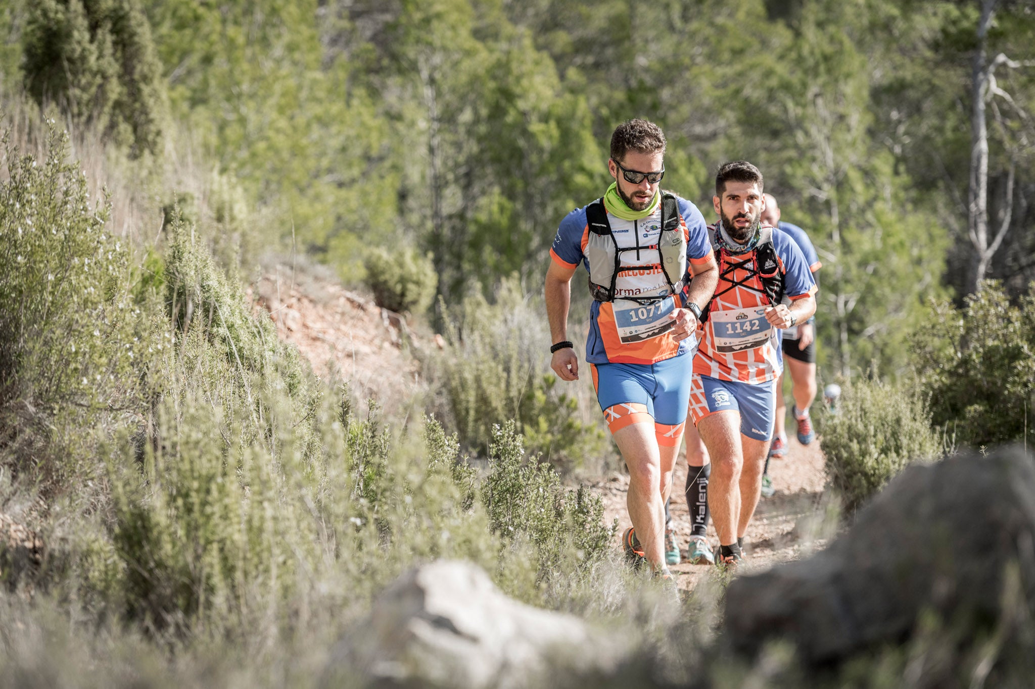 Galería de fotos de la carrera de 15 kilómetros del Trail de Montanejos celebrado el pasado 3 de noviembre