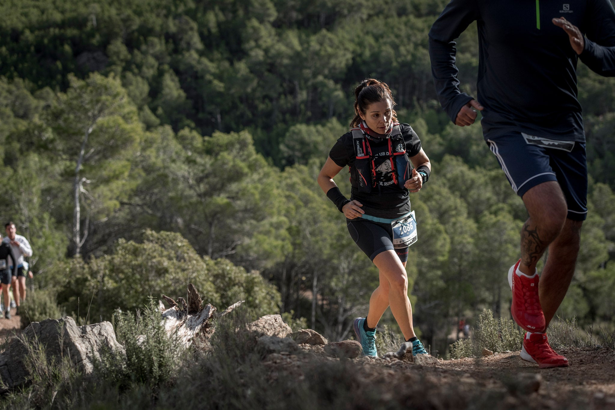 Galería de fotos de la carrera de 15 kilómetros del Trail de Montanejos celebrado el pasado 3 de noviembre