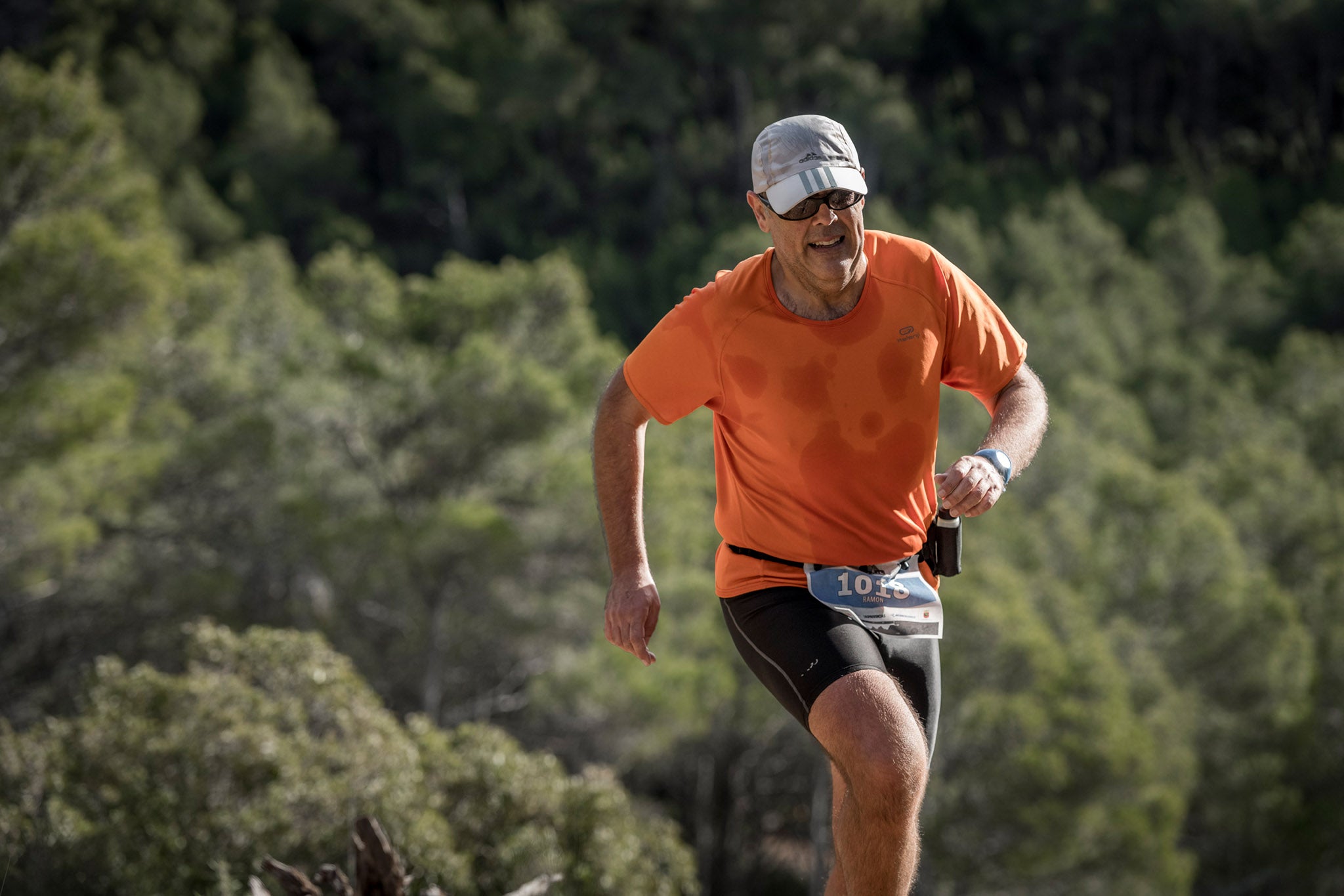 Galería de fotos de la carrera de 15 kilómetros del Trail de Montanejos celebrado el pasado 3 de noviembre