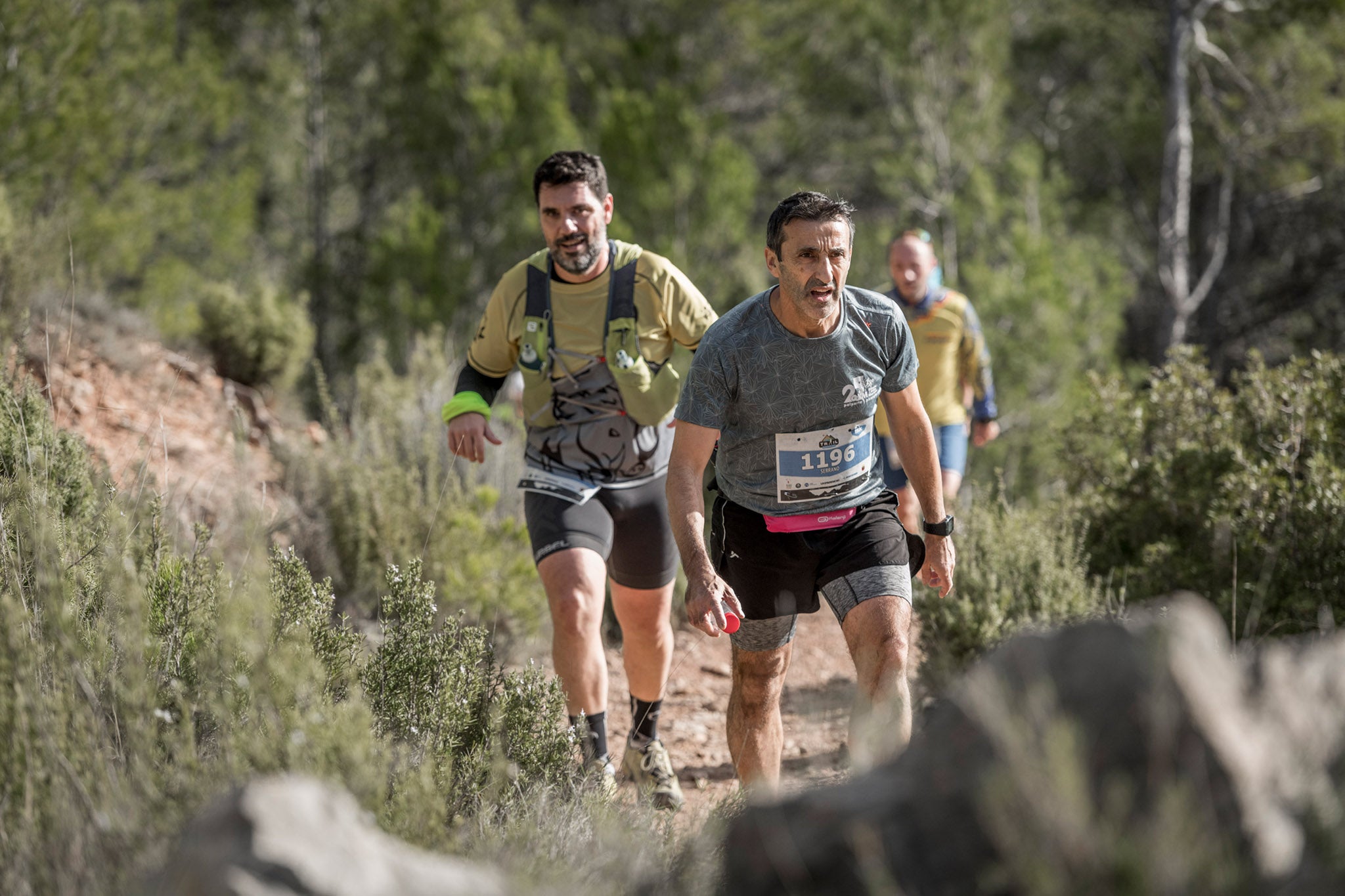 Galería de fotos de la carrera de 15 kilómetros del Trail de Montanejos celebrado el pasado 3 de noviembre