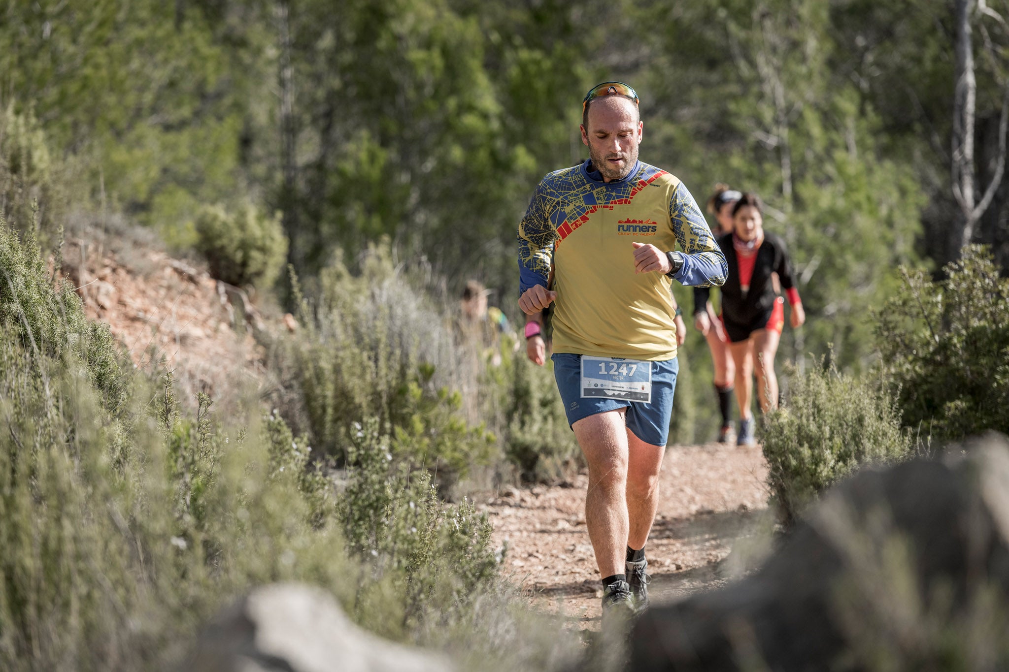 Galería de fotos de la carrera de 15 kilómetros del Trail de Montanejos celebrado el pasado 3 de noviembre