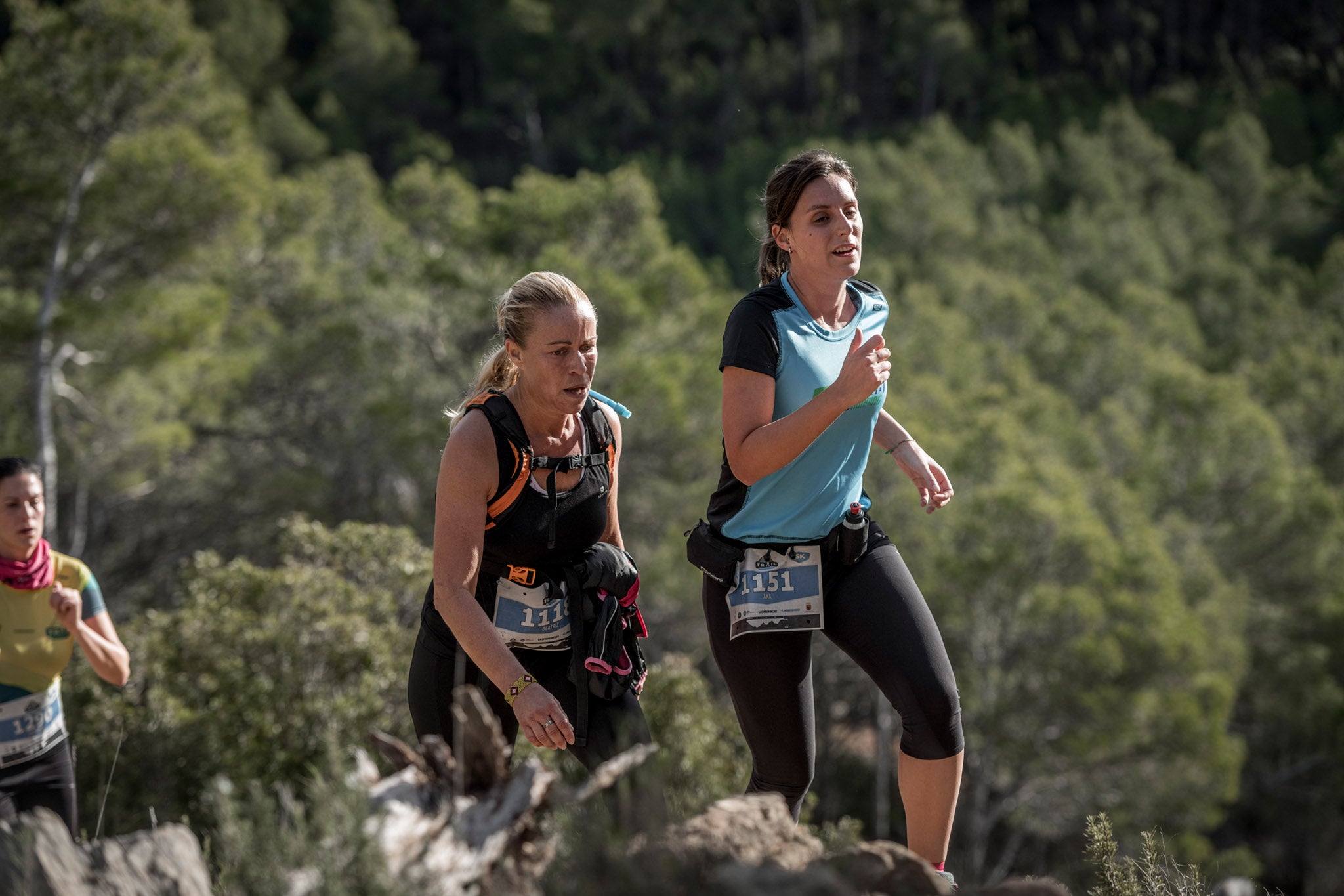 Galería de fotos de la carrera de 15 kilómetros del Trail de Montanejos celebrado el pasado 3 de noviembre