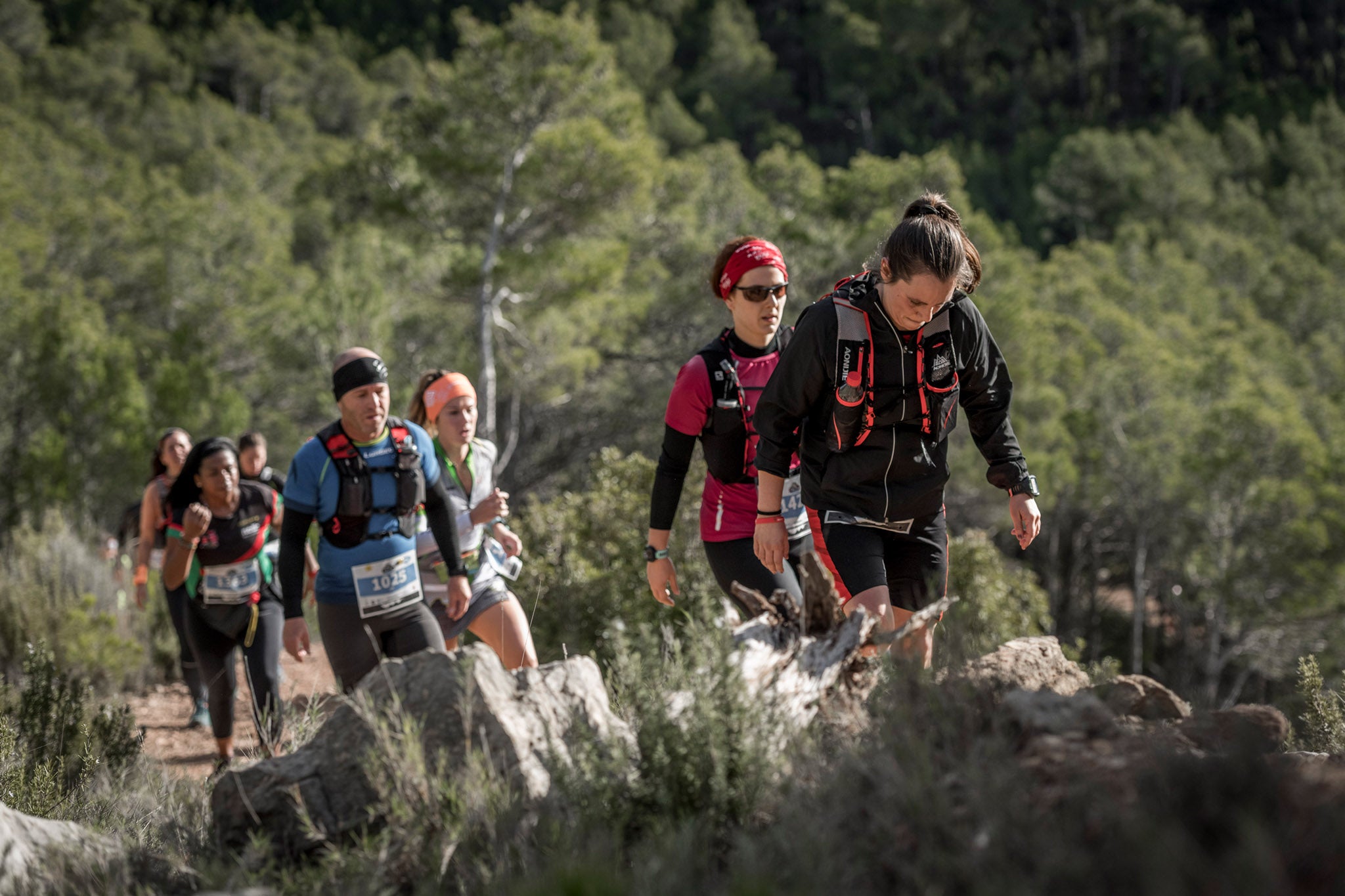 Galería de fotos de la carrera de 15 kilómetros del Trail de Montanejos celebrado el pasado 3 de noviembre