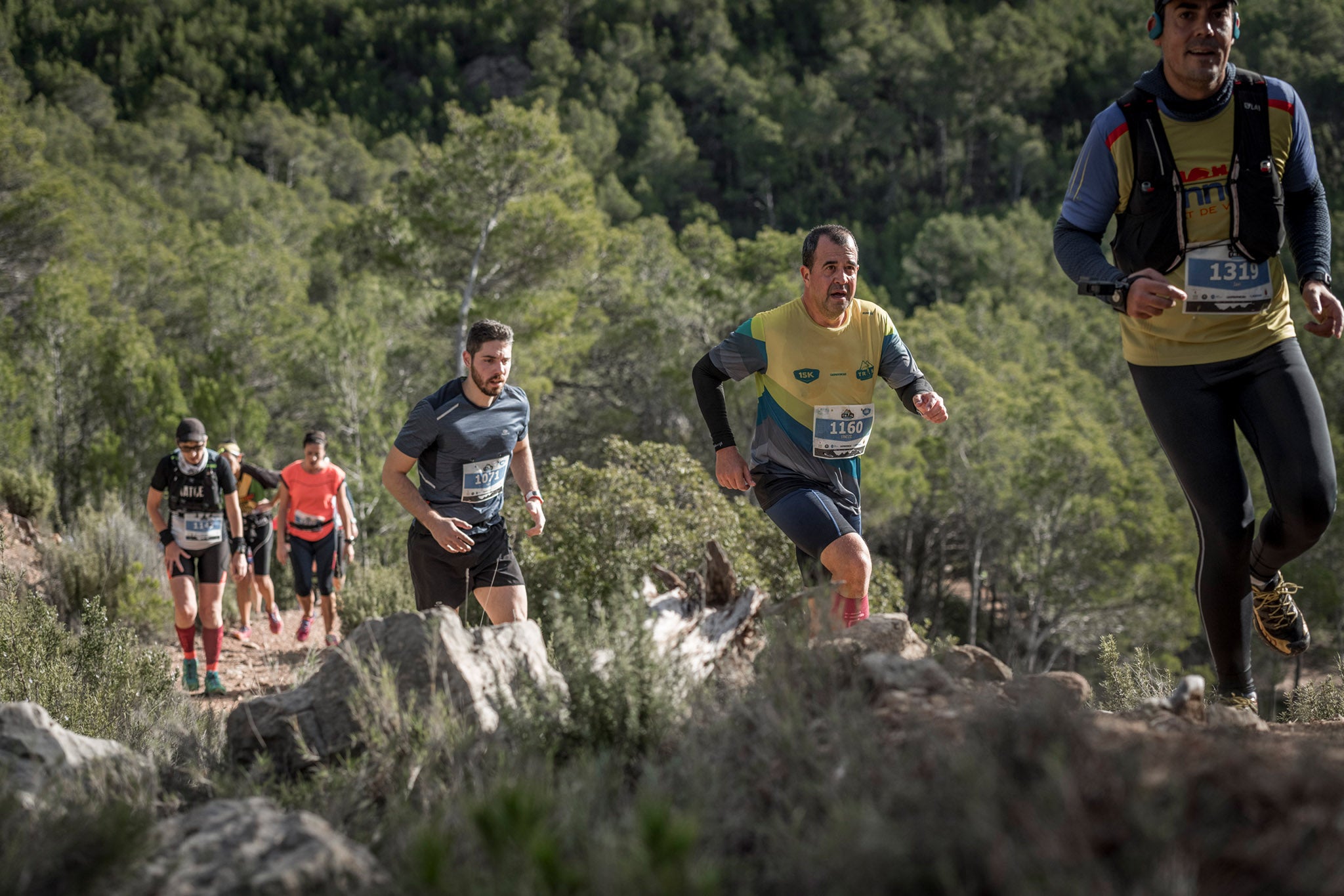 Galería de fotos de la carrera de 15 kilómetros del Trail de Montanejos celebrado el pasado 3 de noviembre