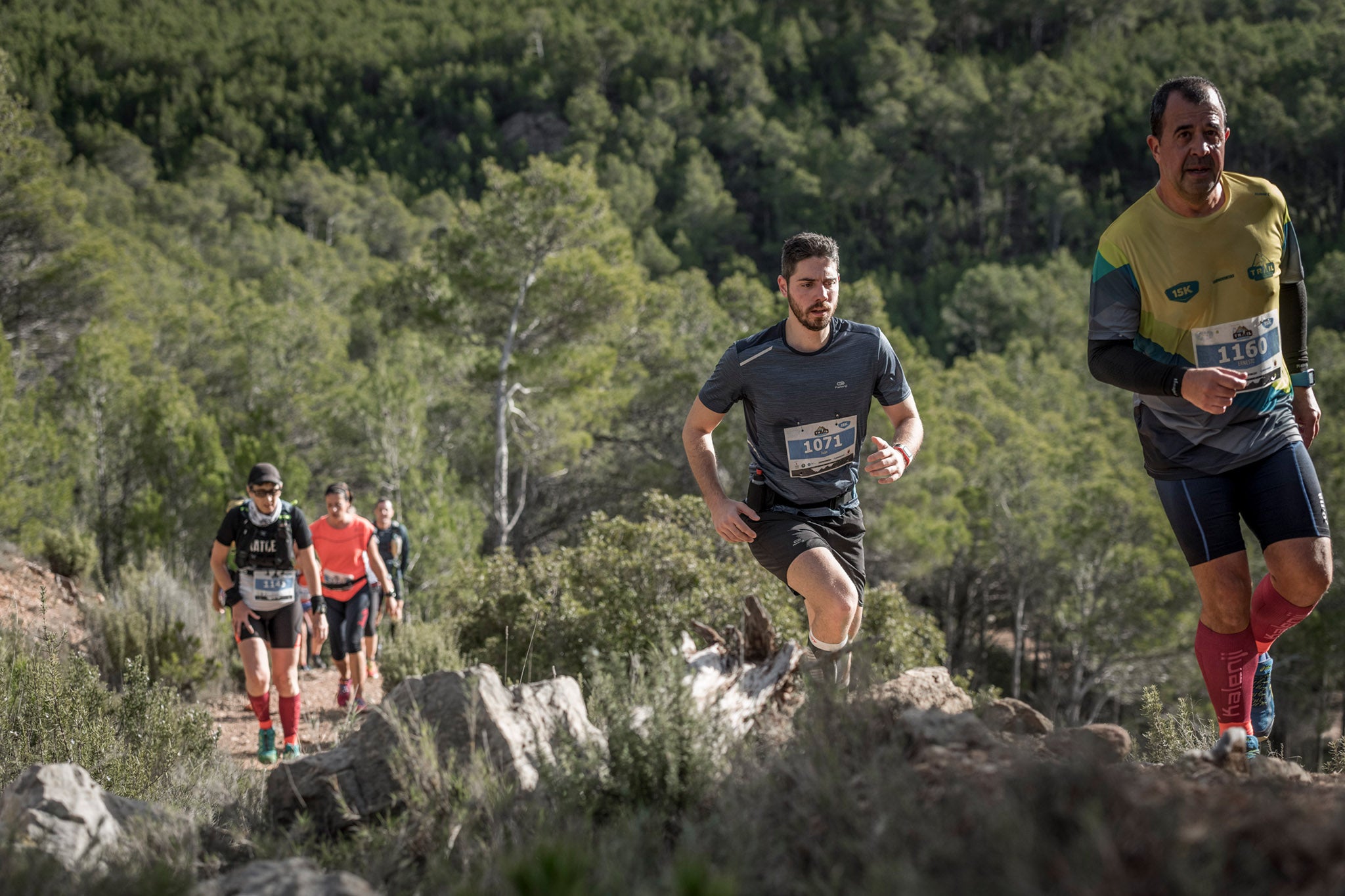 Galería de fotos de la carrera de 15 kilómetros del Trail de Montanejos celebrado el pasado 3 de noviembre