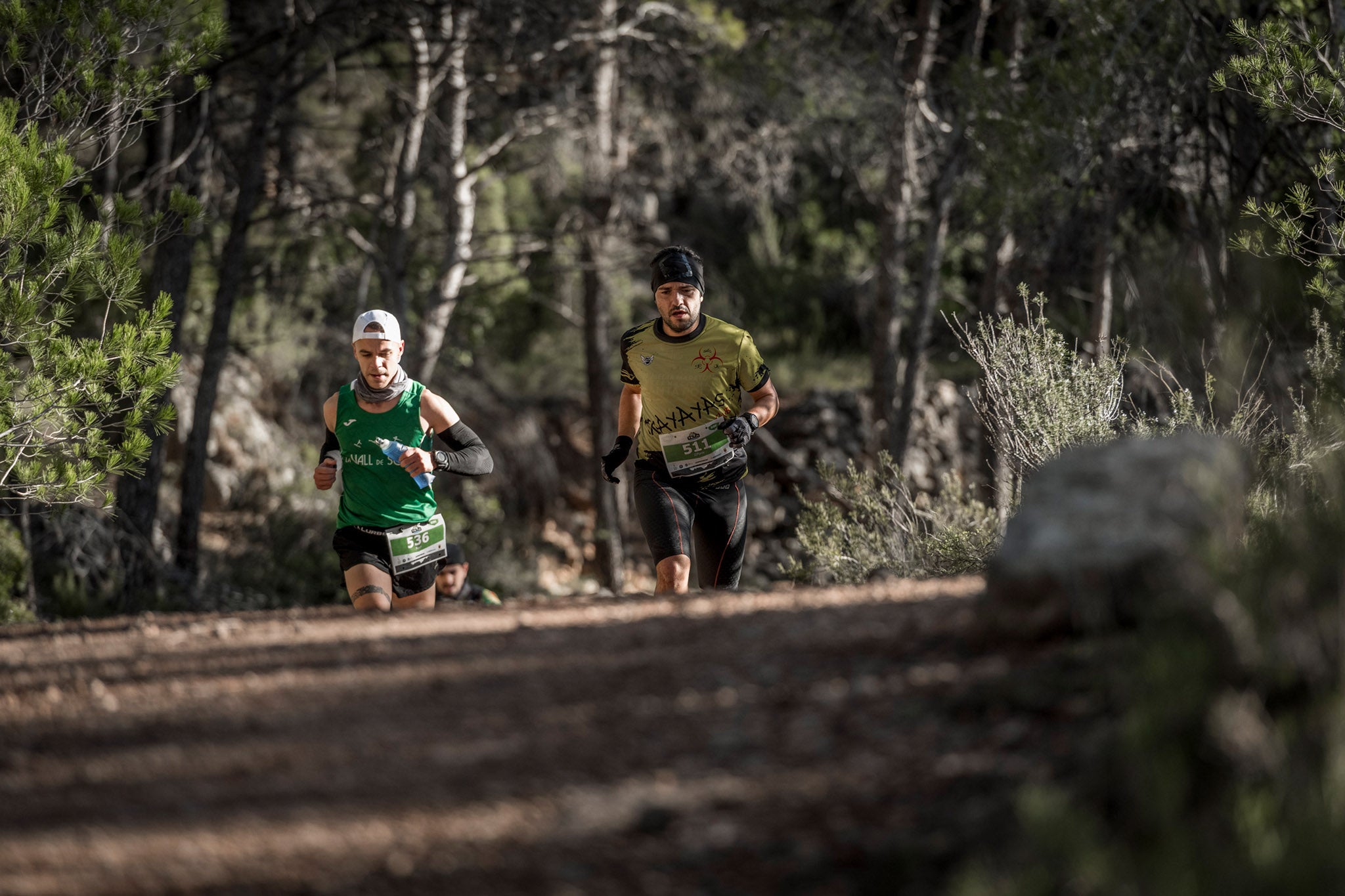 Galería de fotos de la prueba de 30 kilómetros del Trail de Montanejos celebrada el domingo 4 de noviembre