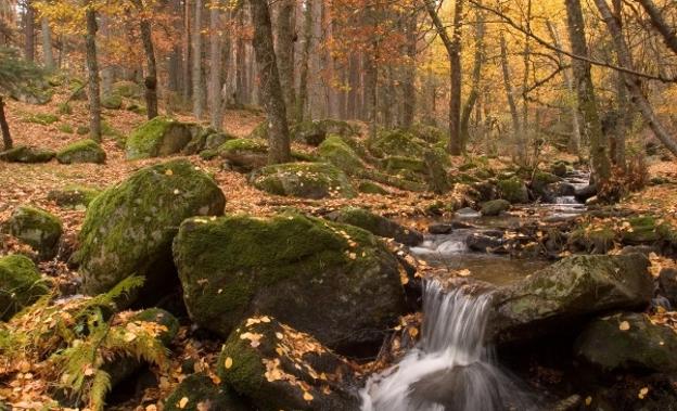 Valle del Lozoya, entre las últimas hojas y las primeras nieves