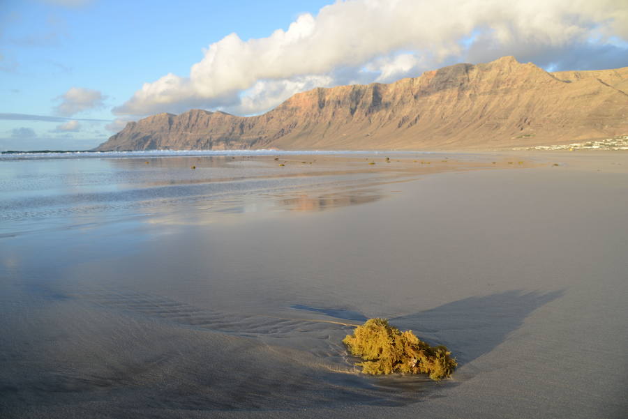 7. En la playa de Famara, Lanzarote.