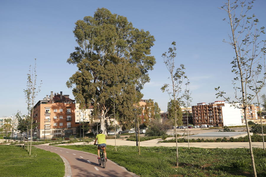 Un parque de Benimàmet. 
