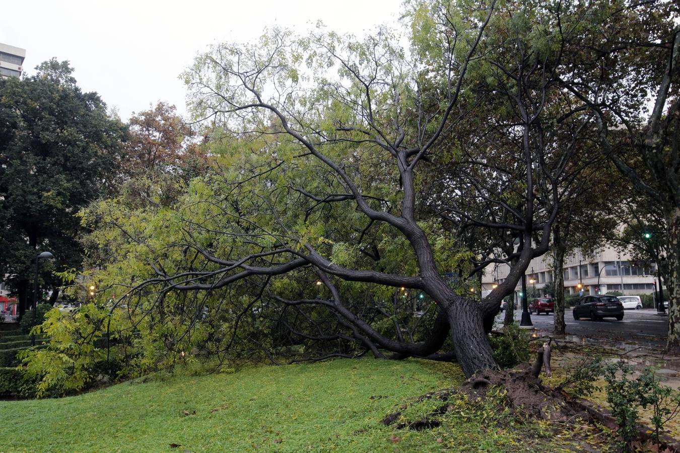 La lluvia descarga con fuerza sobre la capital del Turia durante el mediodía de este viernes