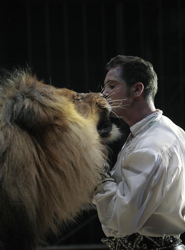 La nueva ley prohibirá los circos con animales salvajes en toda la Comunitat
