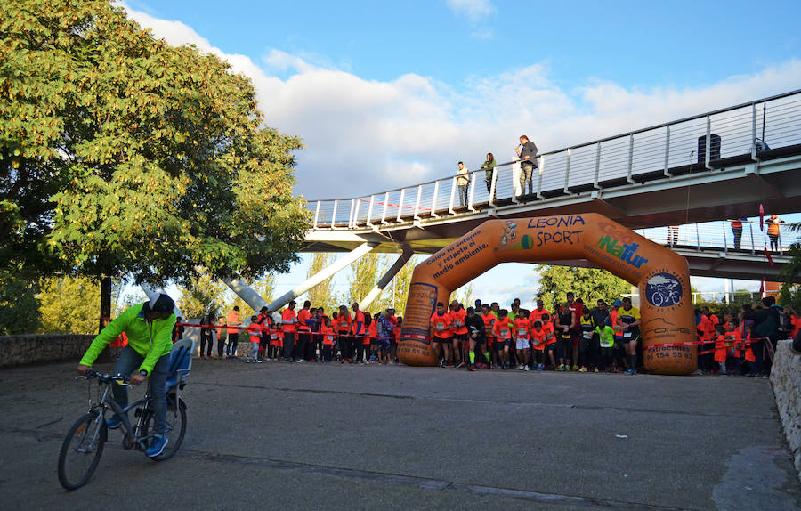 Cerca de 1.000 corredores han participado en el evento que tiene como objetivo recaudar fondos para el proyecto valenciano 'AcogeUnPajarito'.