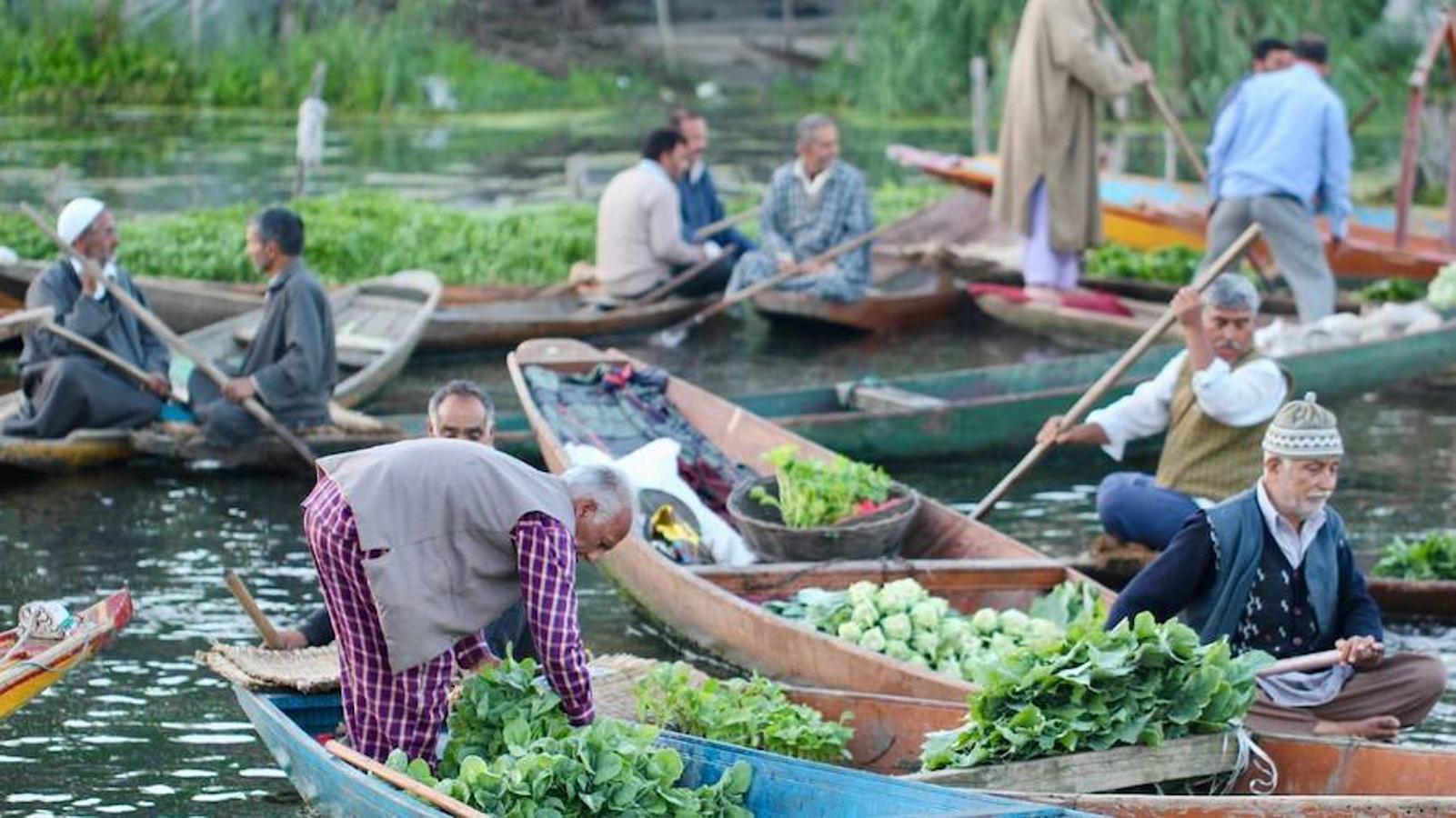 Lago Dal, Cachemira (India) | Tan cerca de los picos del Himalaya que se reflejan en sus aguas, repletas de barcas donde se compran y venden alimentos, principalmente fruta y verdura. También tiene muy cerca las mezquitas de la ciudad de Srinagar, al norte de la India, y cuenta con casas flotantes de madera aromatizada donde poder alojarse.