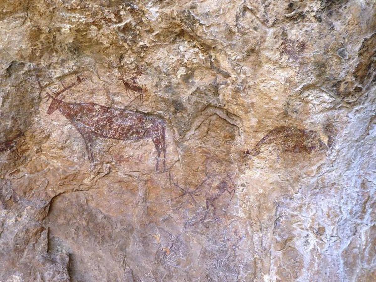 Pinturas rupestres en el arco mediterráneo de la Península | La Comunitat Valenciana comparte el privilegio de este Patrimonio de la Humanidad. Hasta cuatro enclaves valencianos se encuentran dentro del proyecto incluido en la lista de la UNESCO en el año 1998. Los enclaves de Alcoi, Ares del Maestre, Tírig o Bicorp representan a una Comunitat Valenciana que suma más de 300 abrigos con pinturas rupestres.