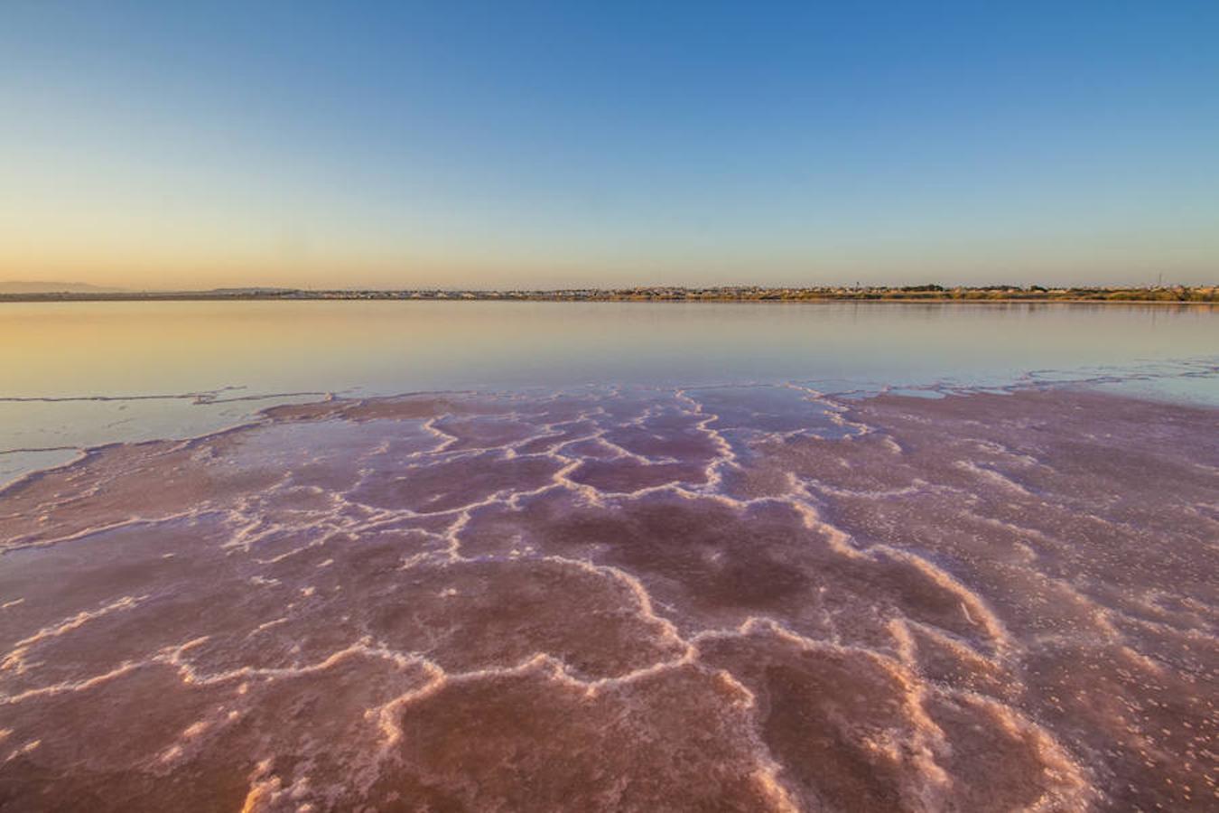 Parque Natural de las Salinas de La Mata y Torrevieja (Alicante): Una imagen de postal es la que ofrece este espacio natural, que se caracteriza por sus dos lagunas saladas, la de Torrevieja de aspecto rosado y la de La Mata de color verde. El valor de este entorno reside en que alberga una gran variedad de especies de avifauna, entre las que el flamenco rosado es protagonista. 