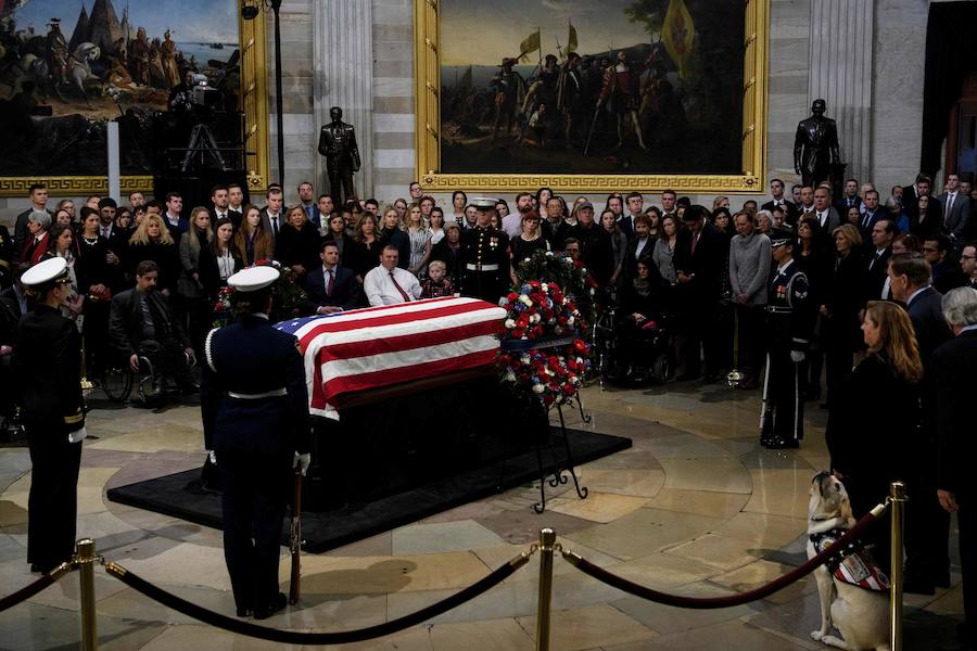 El labrador se hizo famoso esta semana por una imagen en la que aparecía recostado al lado del féretro de su amo, al que ayudó durante su enfermedad. El noble animal también asistió al entierro, donde robó las miradas de todos los asistentes.