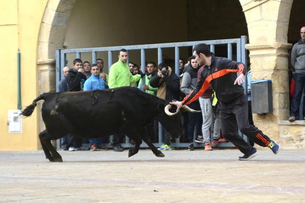 Varias estampas de los festejos taurinos de Olocau para celebrar la festividad de Santa Lucía. 