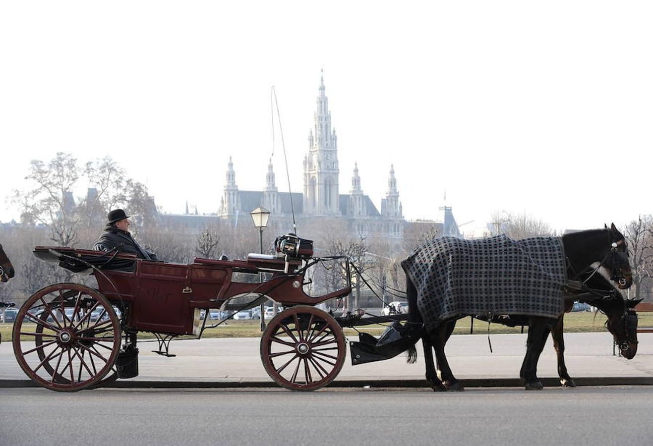 8. VIENA. La capital austriaca es música, cuna de grandes compositores como Strauss, Beethoven o Mozart y morada de la afamada ópera. Allí se celebra el concierto más famosos del mundo, el de Año Nuevo. Los turistas (más de 6,5 millones al año) deambulan entre las joyas del imperio austrohúngaro y los encantos de la nueva Viena.